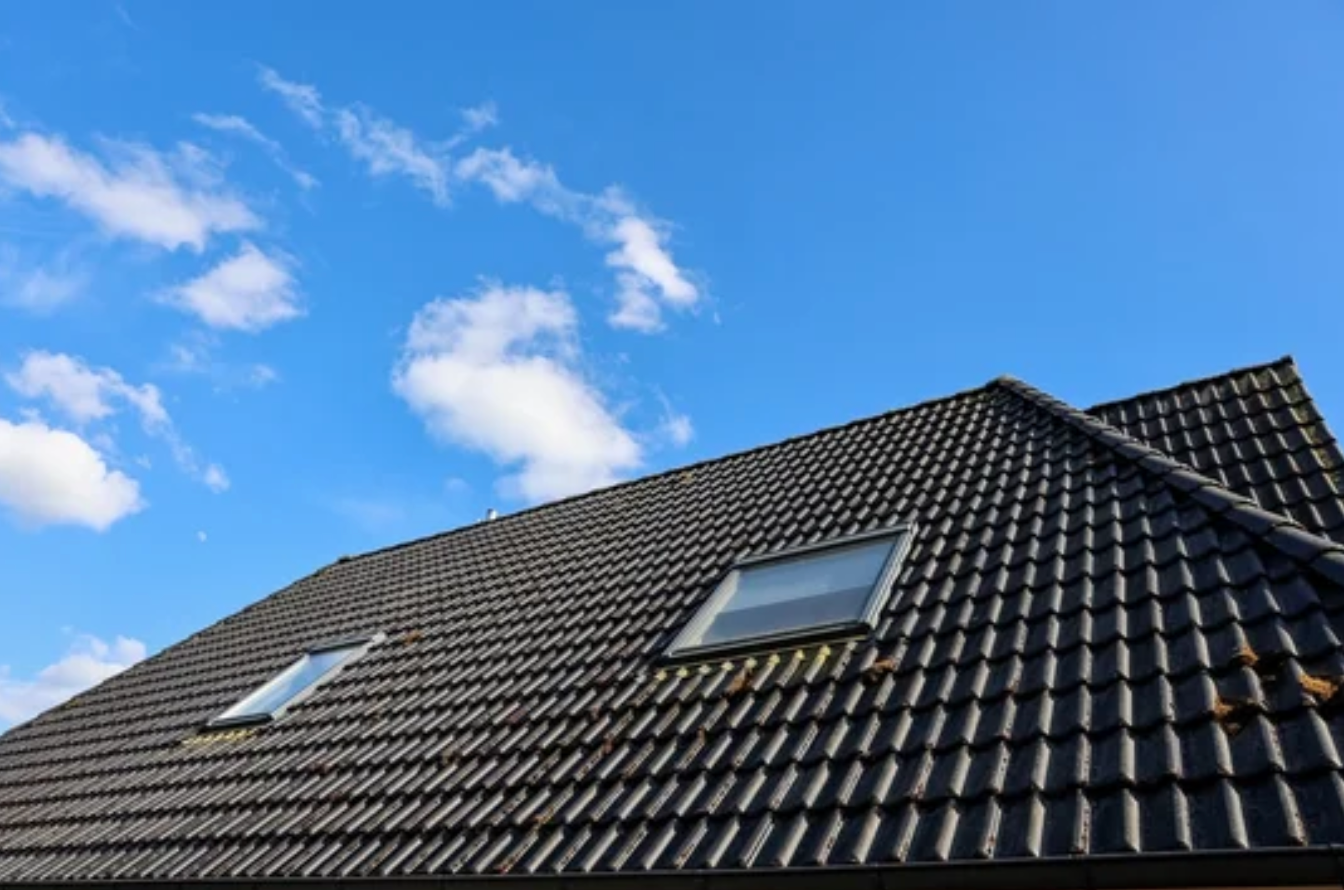 Pose de Velux réalisée par HappeBat à Genève