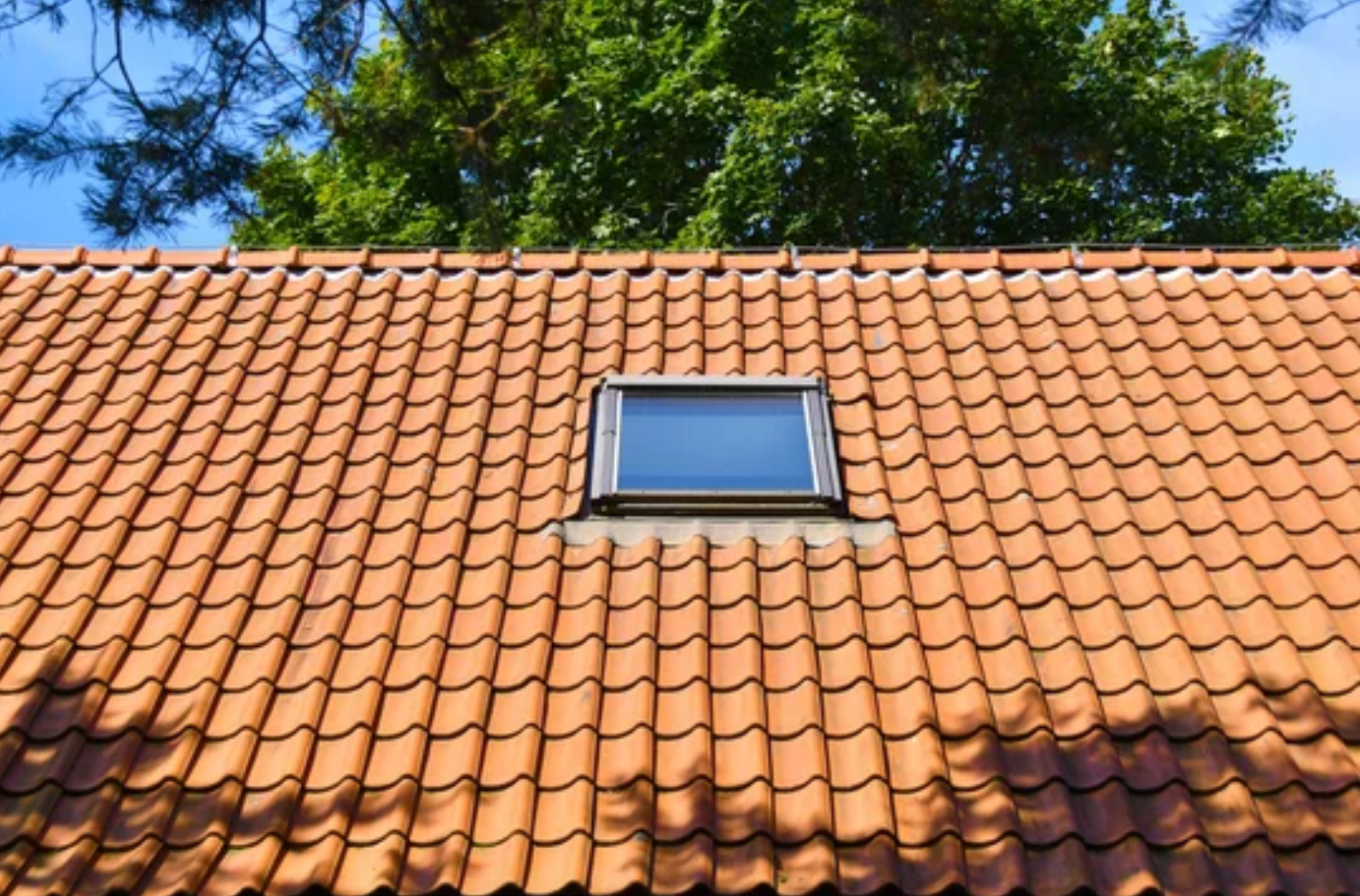 Étude d’un projet de pose de Velux à Genève